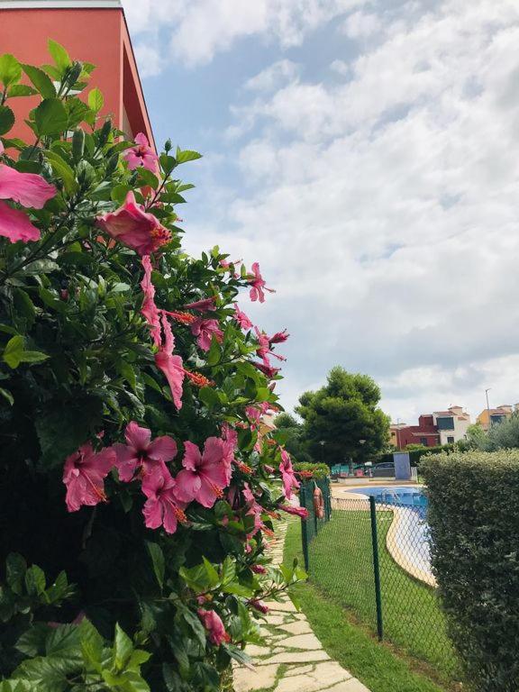 Piso Nata With Private Terrace Lounge 75m2 El Verger